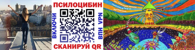 Галлюциногенные грибы Psilocybe  купить наркоту  Ясный 